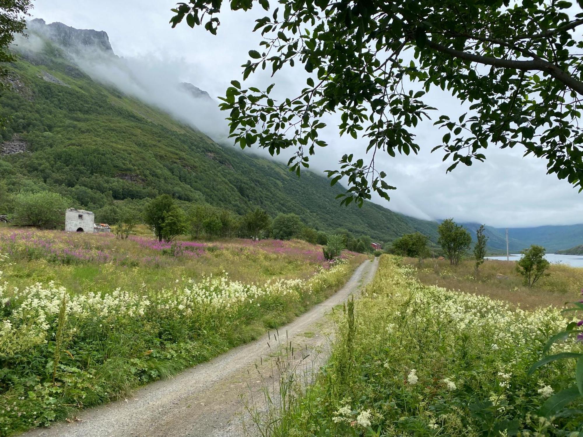 Вілла Wilderness House Urda Екстер'єр фото